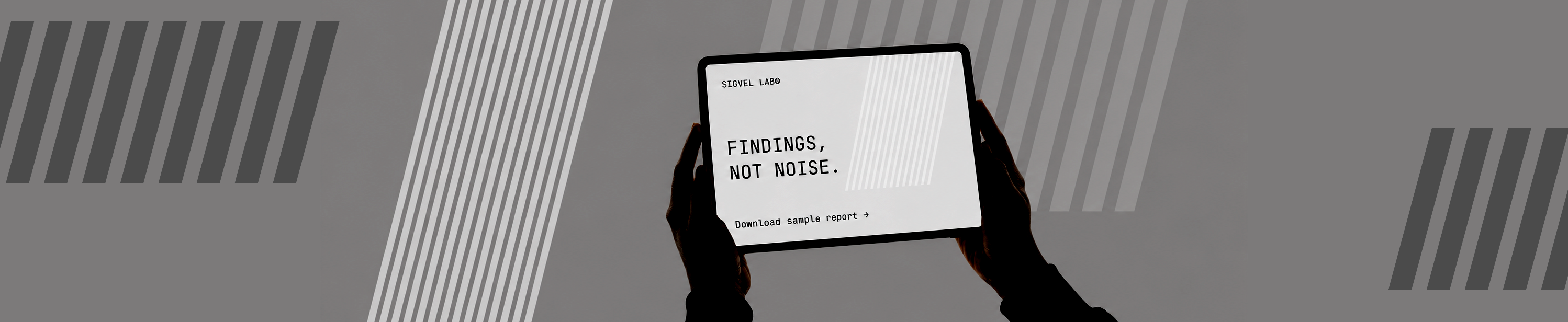 FINDINGS, NOT NOISE — download sample report